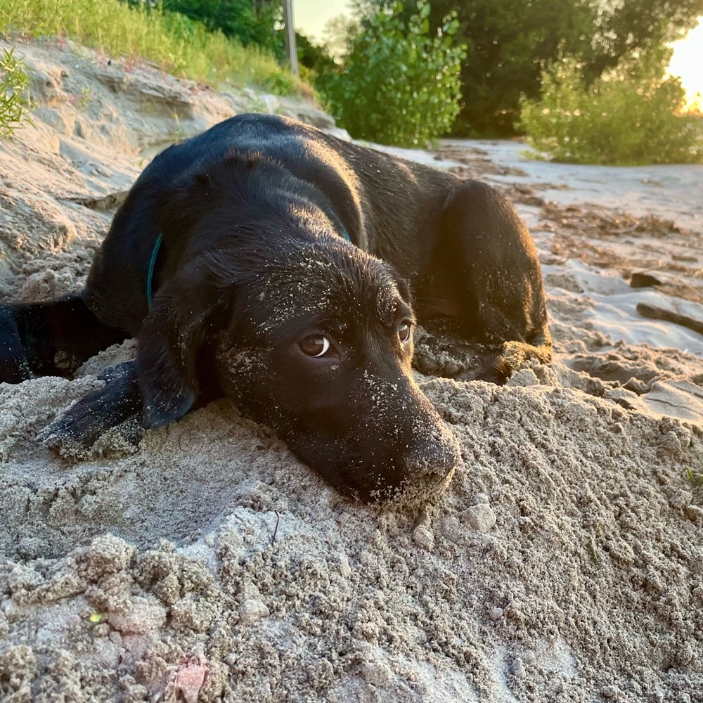 Hello!